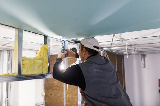 Best Cellulose Insulation in Westminster, TX