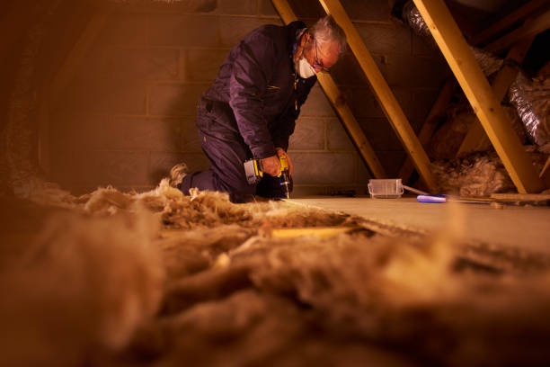 Best Geographic-Specific Insulation Services in Westminster, TX